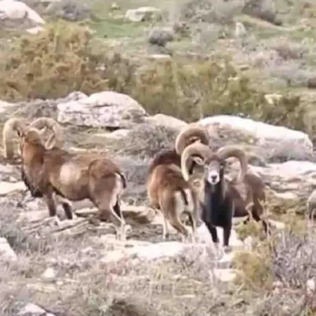 בית נופש Mare E Montagna *