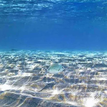 Mare E Montagna * Bonarcado