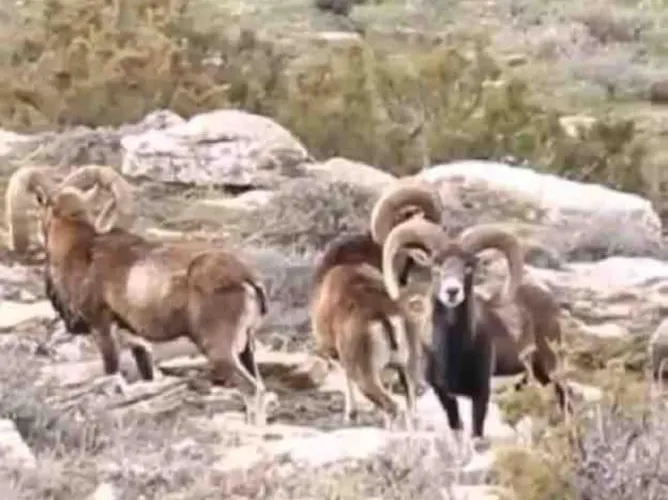 Ferienhaus Mare E Montagna *