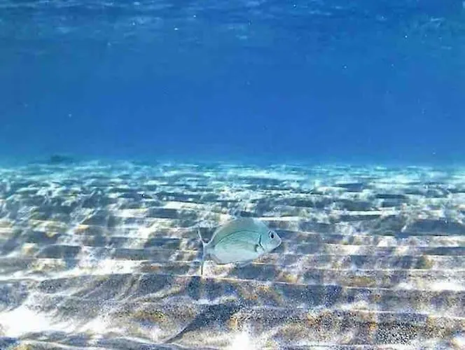 Mare E Montagna * Bonarcado